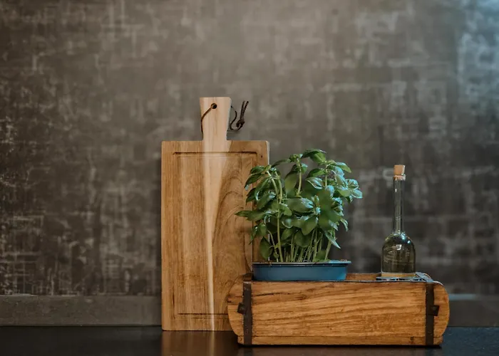 Appartement Familienfreundliche Zwischen Koeln & Aachen Bergheim (Rhein-Erft-Kreis)